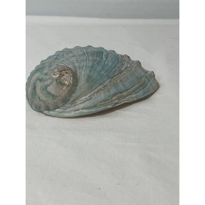 Orsa & co - Wholesale Sage bundle - Smudge Bundle3