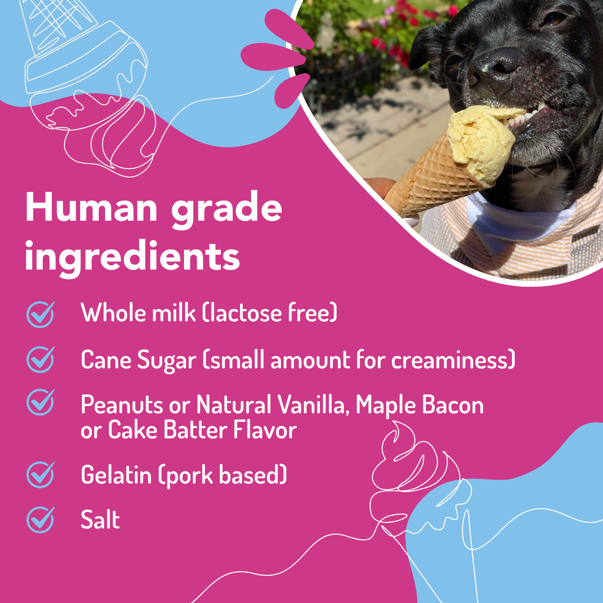 Puppy Cake LLC - Wholesale Pet Treats - Dog - Puppy Scoops Ice Cream Mix for Dogs15