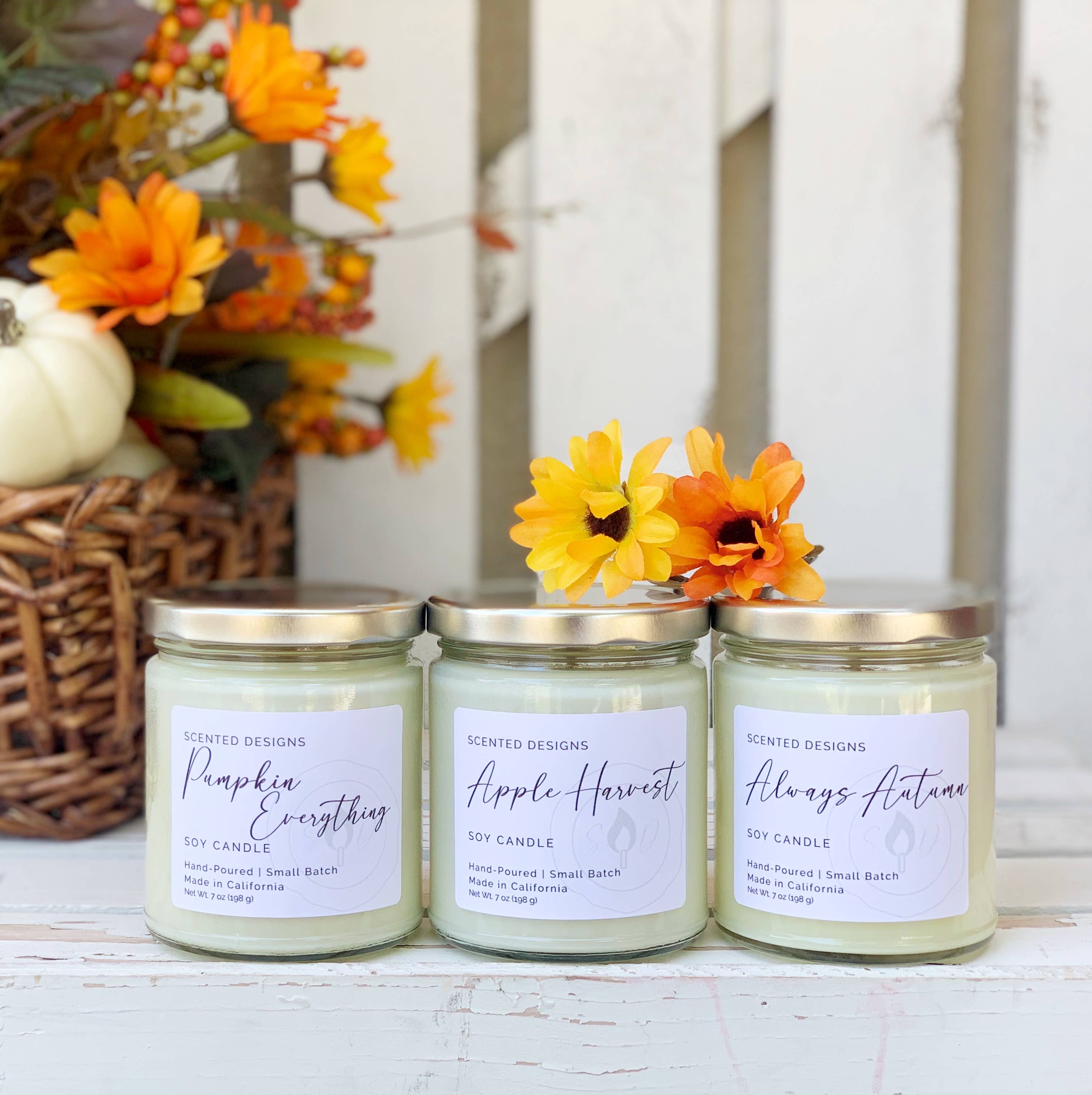 Scented Designs Candle Co - Wholesale Jar/Filled Candle - Apple Harvest Soy Candle - 7oz Signature Jar4