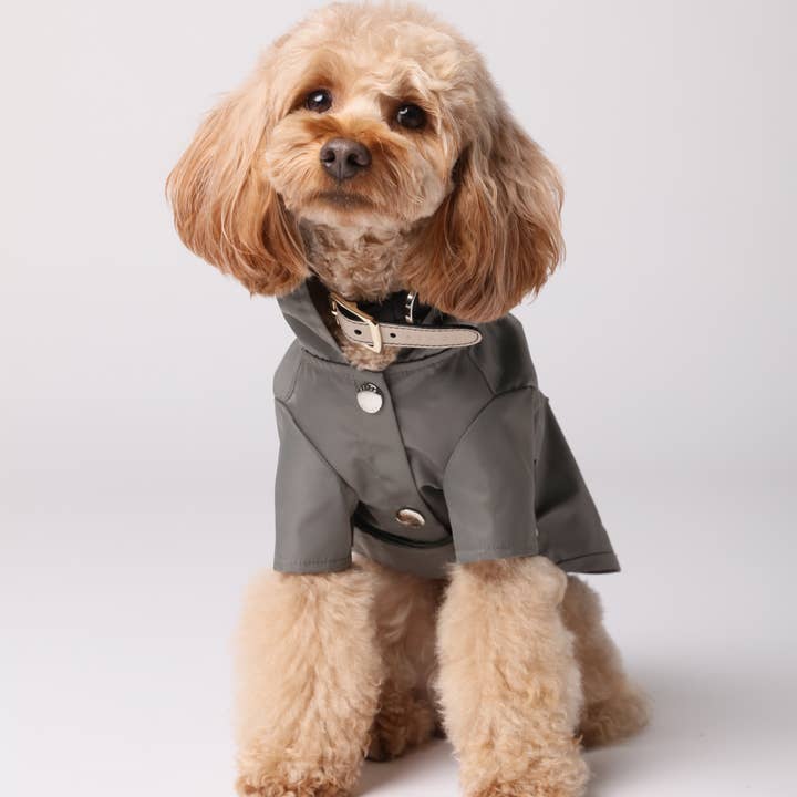 PEHOM – Capa de chuva para cão - Cão por atacado – CAPA DE CHUVA BOWERY - CINZA0