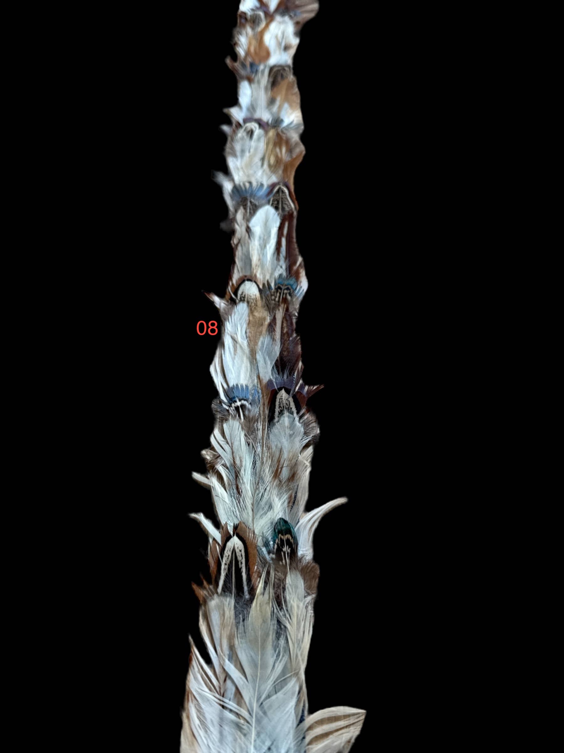 Nati Natash - Wholesale Hat Accessory - Women's - Feather hat band with strap5