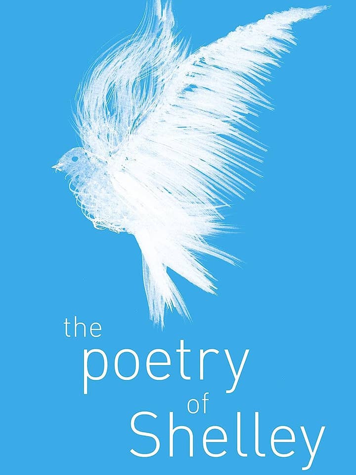 Poetry Of Percy Shelley (Arc Classics) for wholesale by Texas Bookman