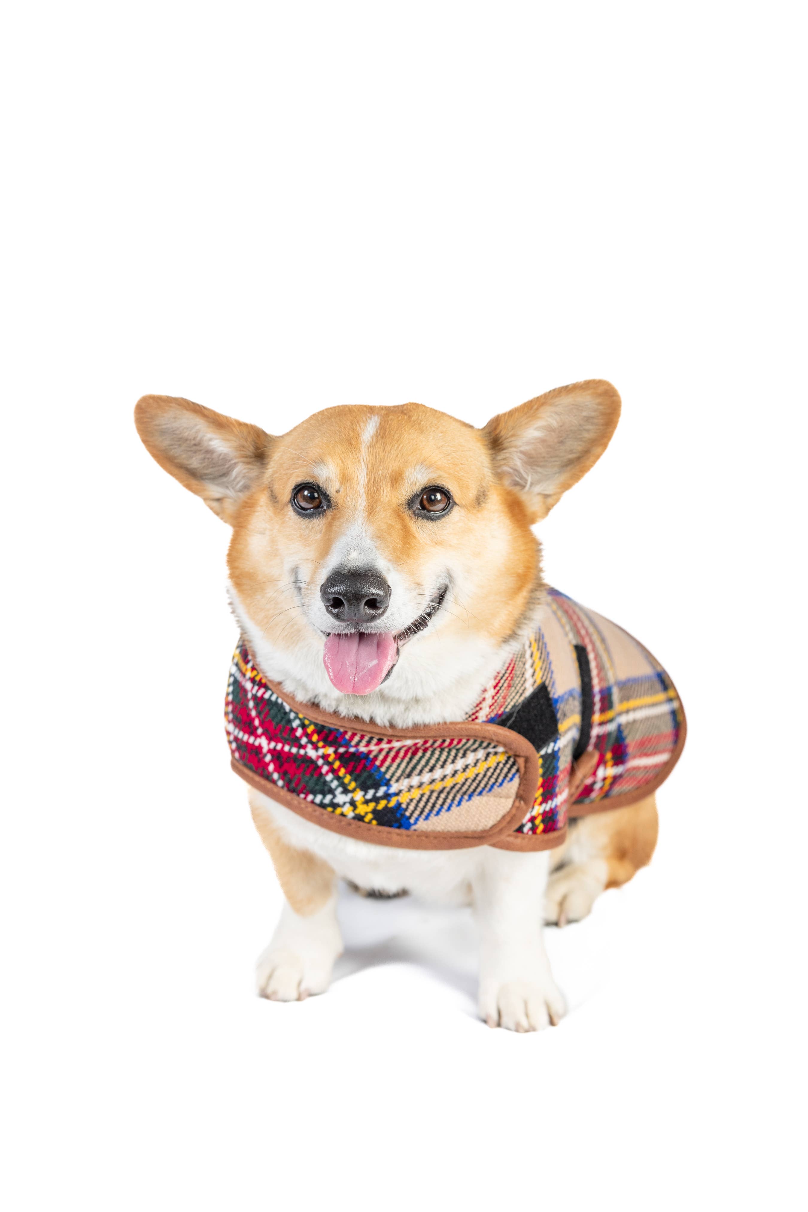 CHILLY DOG LLC - Wholesale Pet Coat - Dog - Tan Tartan Dog Blanket Coat7