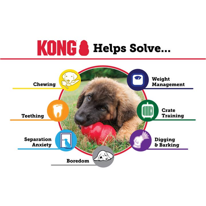 Pet Palette Distribution - Wholesale Pet Fetch Ball - Dog - KONG® Extreme Dog Chew Toy XXL