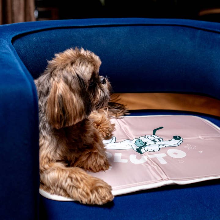 Disney Pluto Tappetino Fresco per Animali Domestici per la vendita all'ingrosso da parte di The Green Pet Shop
