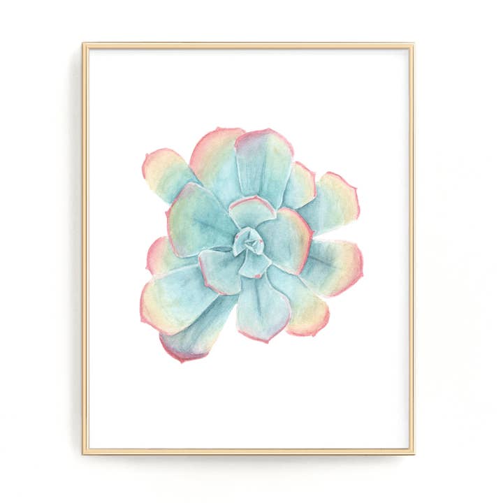 Rainbow Succulent Print, Blue Sky Echeveria for wholesale by Emilie Taylor