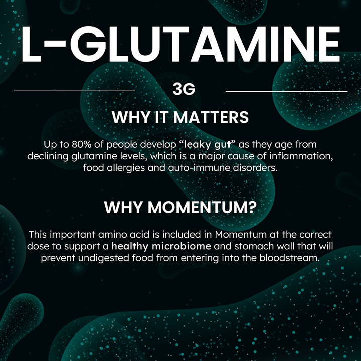 Momentum - Wholesale Protein/Superfood Powder - Longevity Protein Shake, Vanilla16