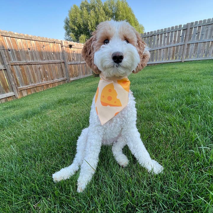 Cheese Bandana for wholesale by Briggs & Rory