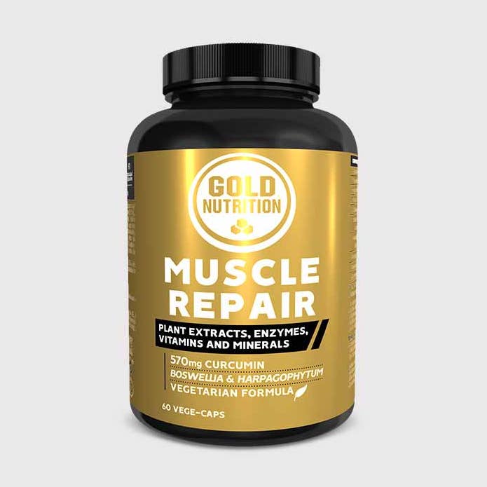 MUSCLE REPAIR for wholesale by Endurance Lab