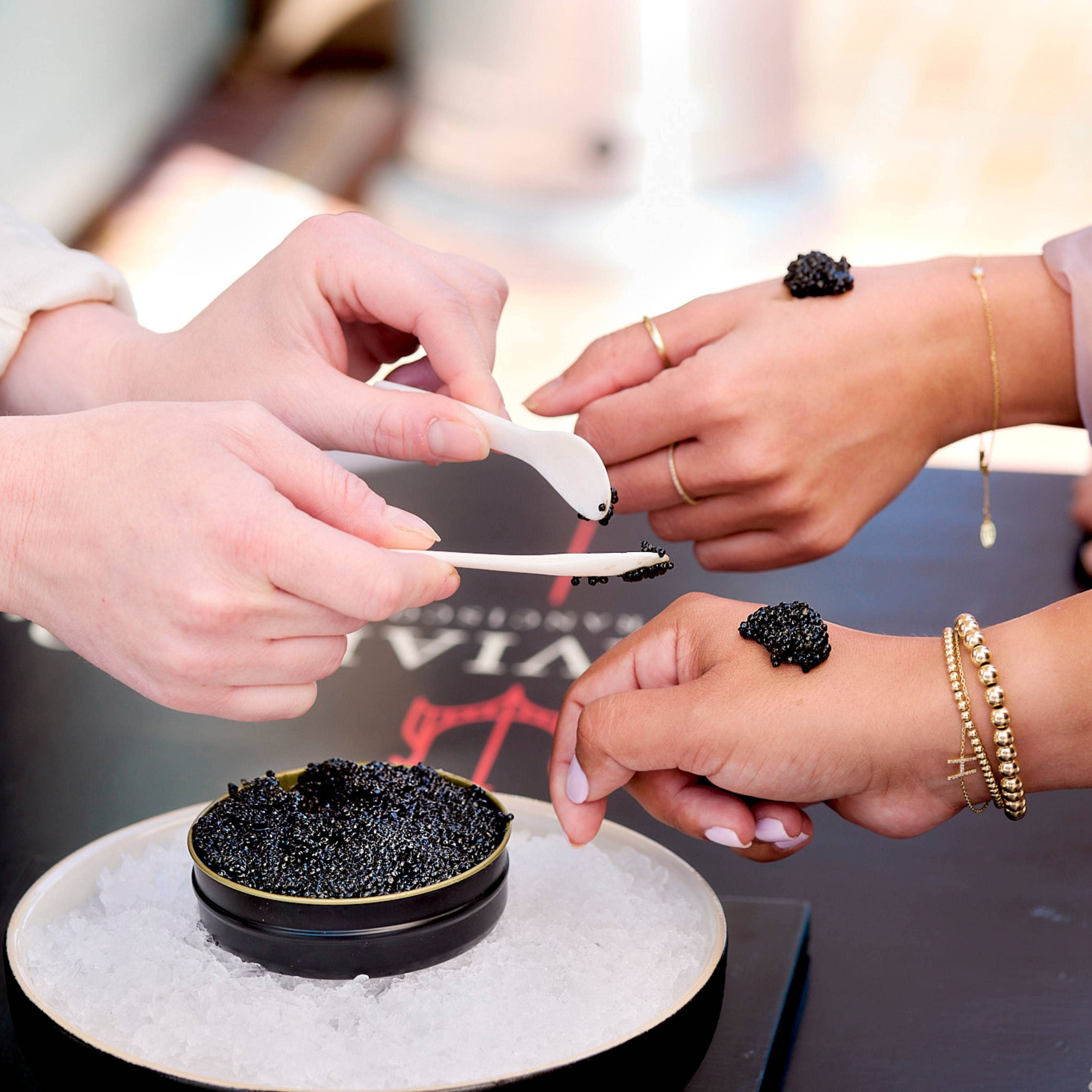 The Caviar Co. - Wholesale Fish/Seafood - Hackleback Caviar5