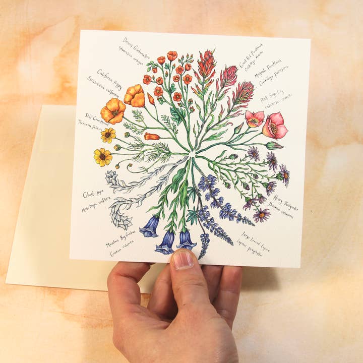 Claire Loon Baldwin Illustration - Wholesale Everyday Greeting Card - Wildflower Color Wheel Greeting Card3