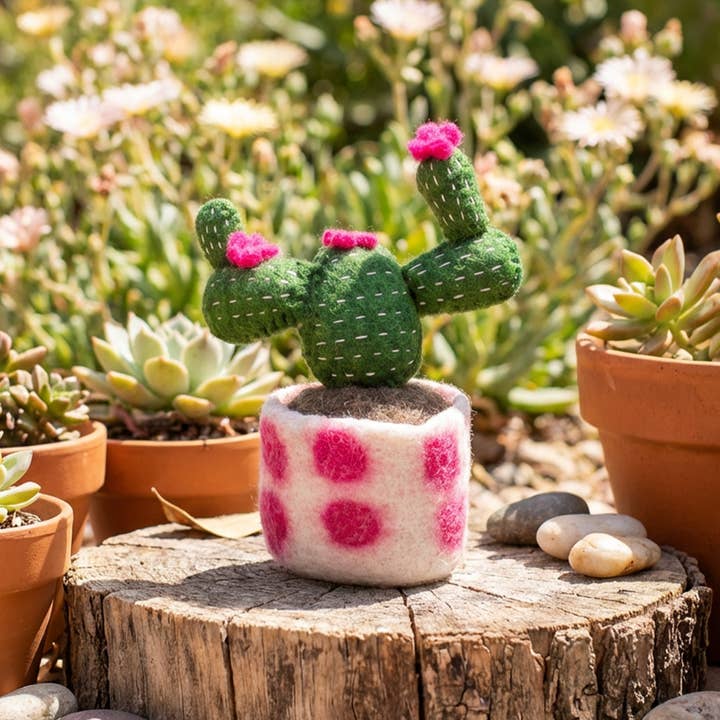 Felt So Good – wholesale Dekorativt bordsobjekt – Handgjord filt falsk växt kaktusdekoration5