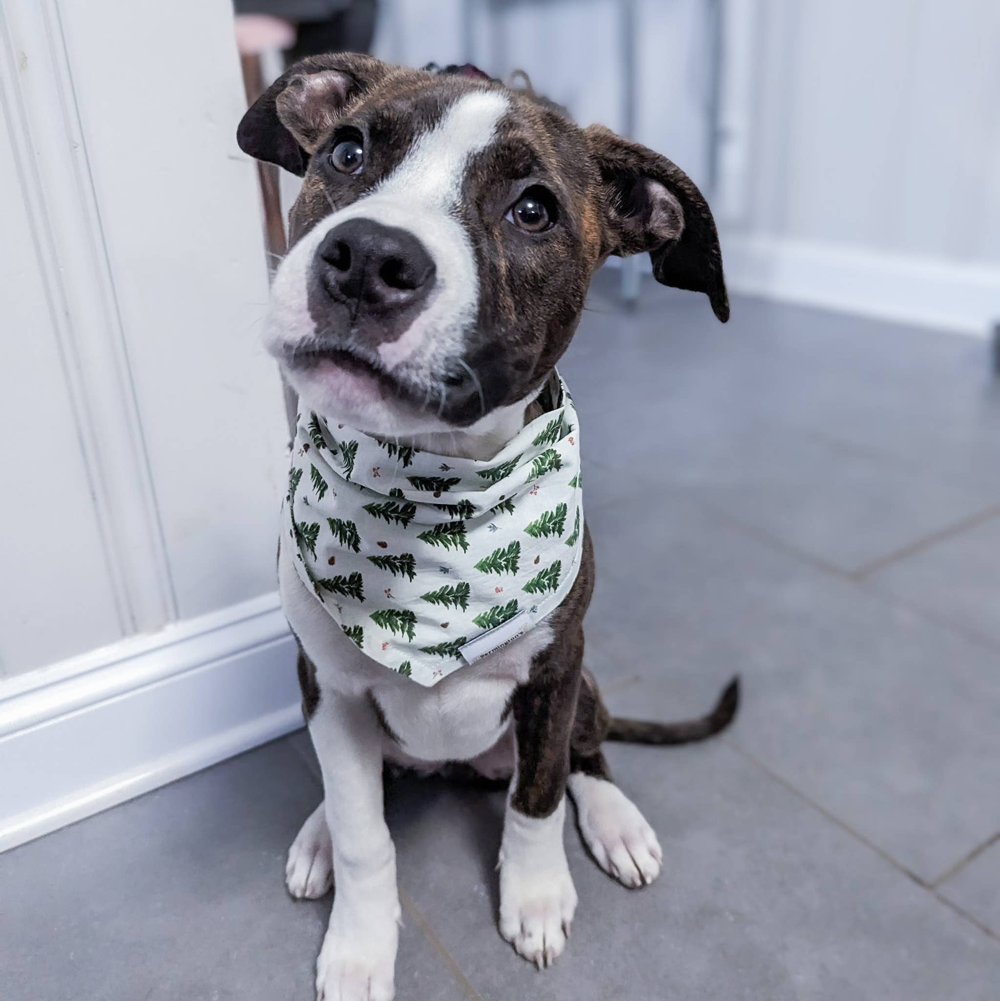 Nermington's - Wholesale Pet Bandana - Dog - I'm Pine Bandana - Christmas Tree Tie-on Dog Bandana1