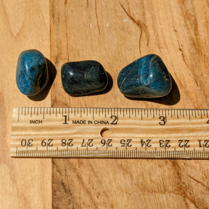 Jensen Rocks - Wholesale Spiritual Stone/Crystal - Blue Apatite Tumbled Stones - 1-6 LB Lots4