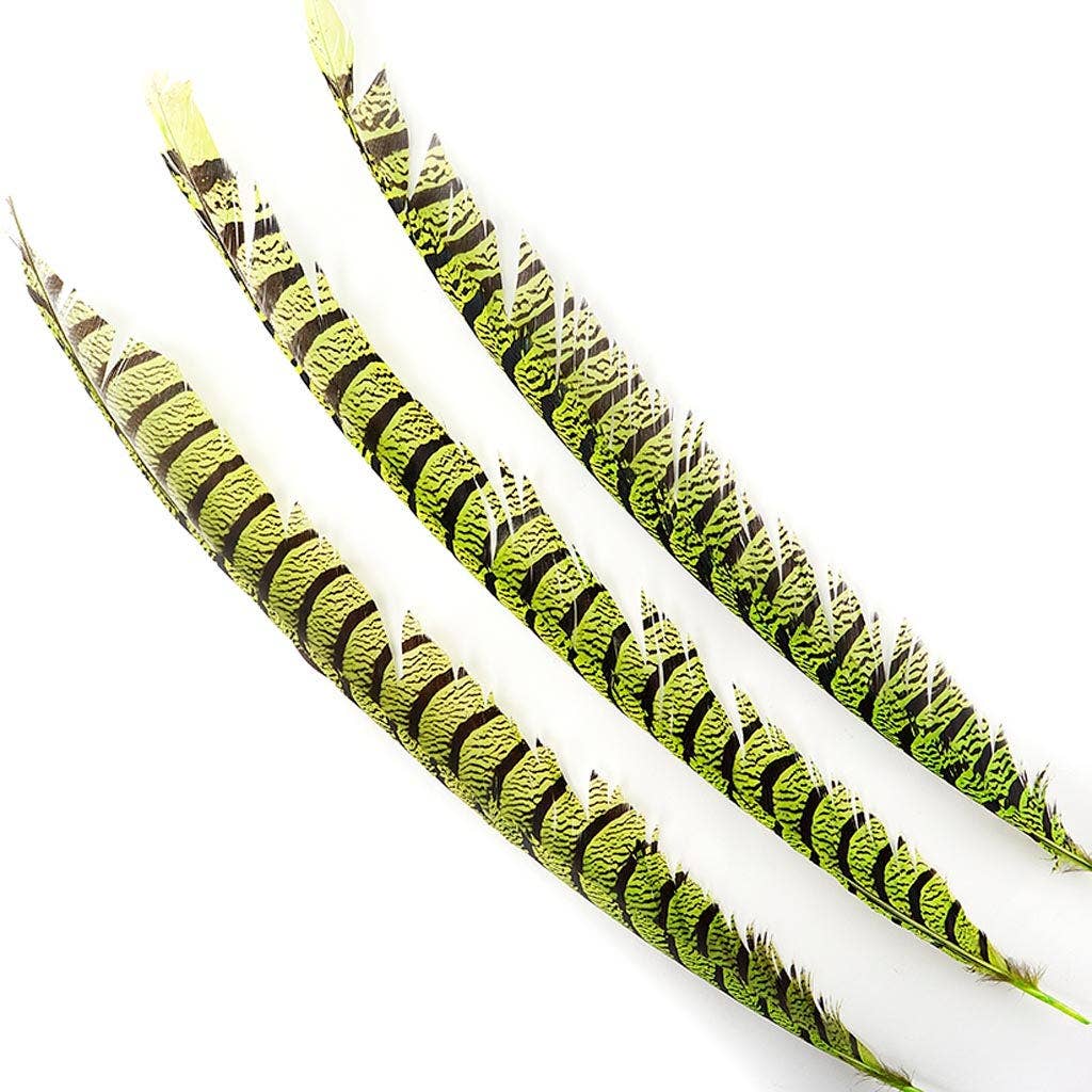 Zucker Feather Products - Vendita all'ingrosso Piume - Code di fagiano Lady Amherst - Lime2