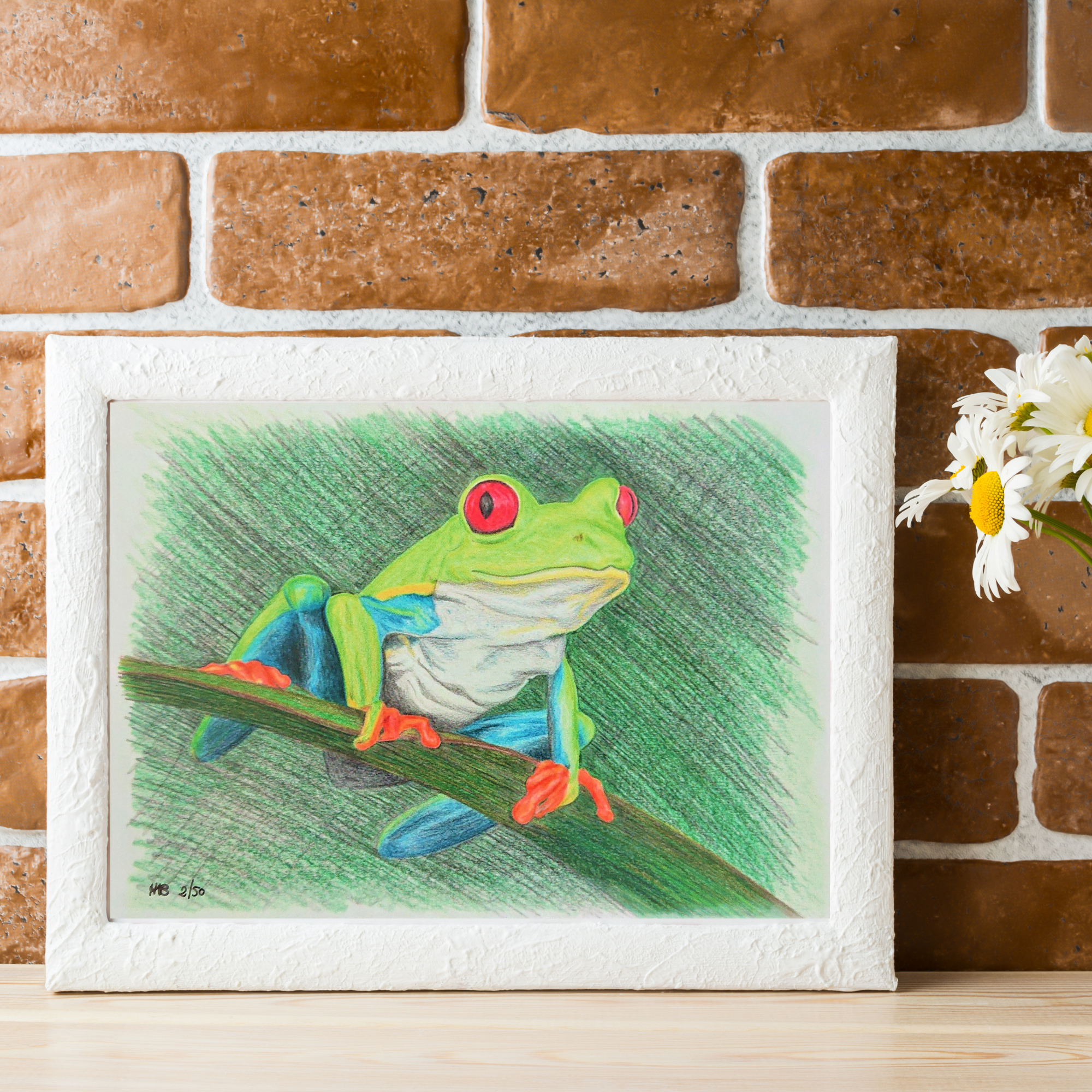 Hannah Kate Makes - Wholesale Art Print - Red Eyed Tree Frog Art Print - Cedric Sammakko - A57