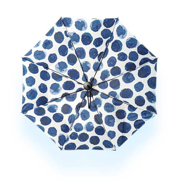 EyeLevel – wholesale Umbrella – Women's – Mini Umbrella - 4 Patterns - RRP £9.999