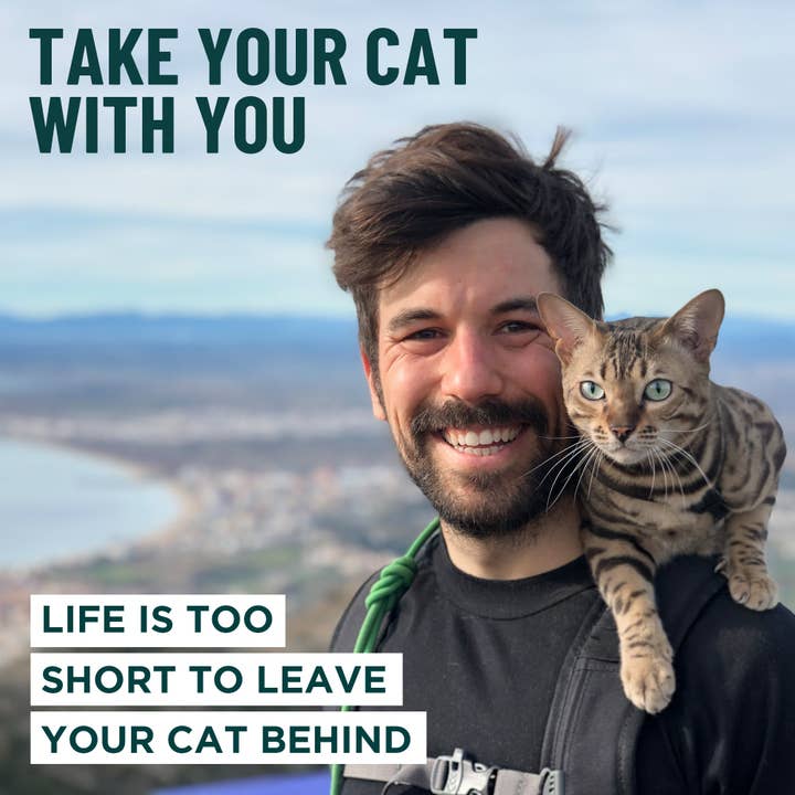 Outdoor Bengal – wholesale Sele - Katt – Houdini™ katträdsel som förhindrar rymning3