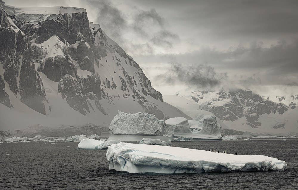 W. W. Norton - Wholesale Nature & Outdoors - Wild Ocean: A Journey to the Earth's Last Wild Coasts13