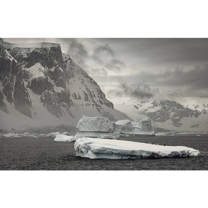 W. W. Norton - Wholesale Nature & Outdoors - Wild Ocean: A Journey to the Earth's Last Wild Coasts13