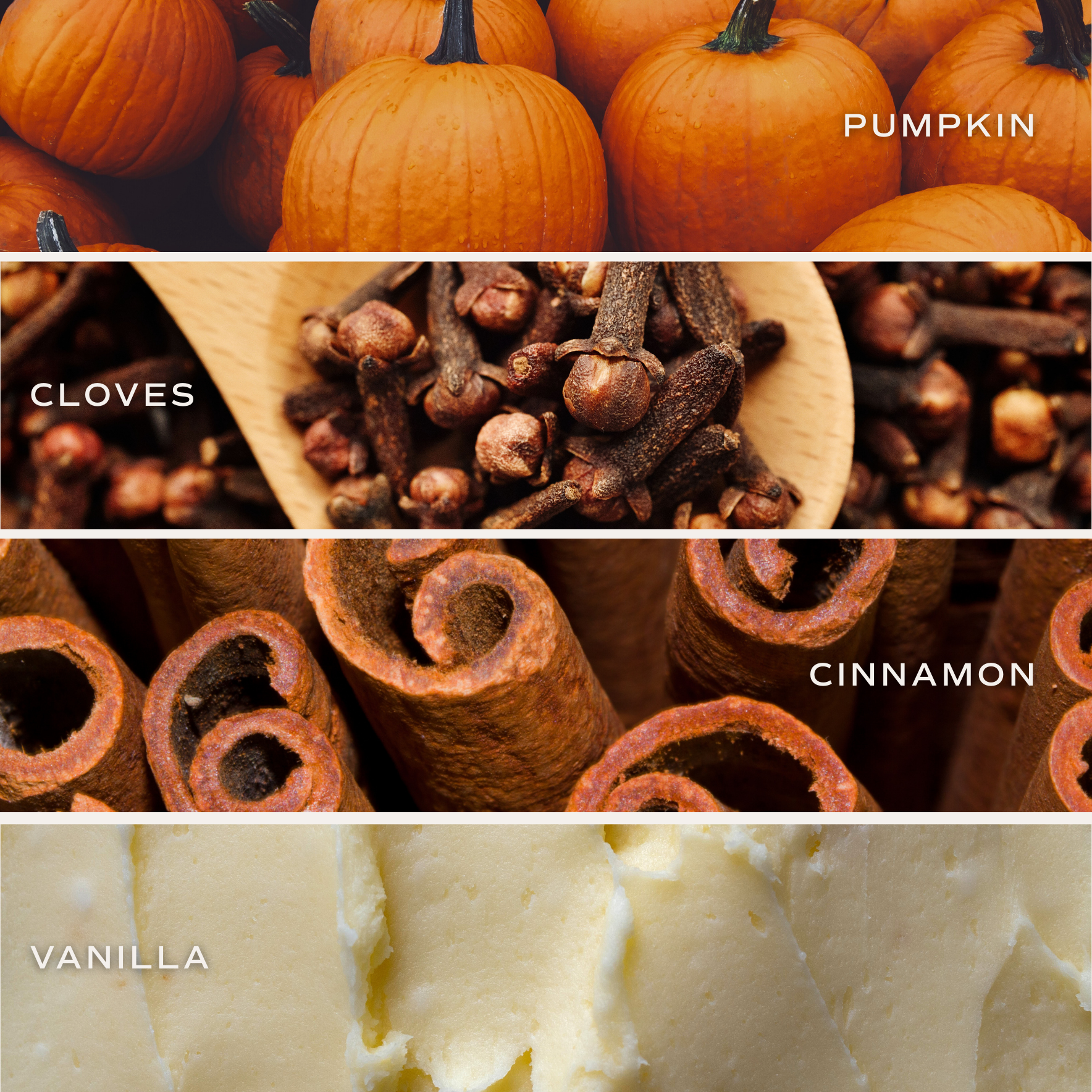 Sweet Water Decor - Wholesale Jar/Filled Candle - Pumpkin Spice 9 oz Soy Candle - Fall Decor3