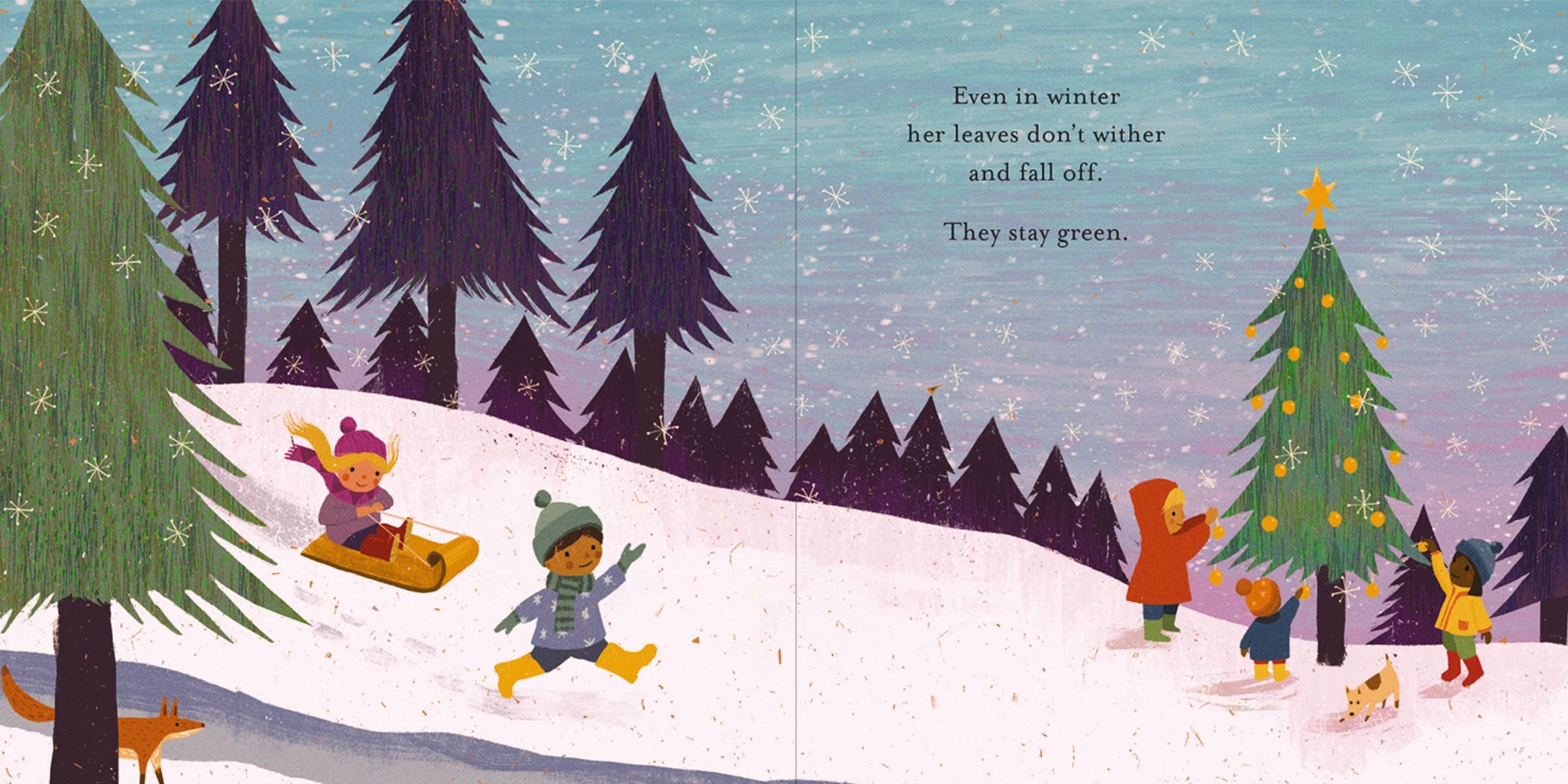 HarperCollins Christian Publishing - Wholesale Baby & Toddler Book (0-2) - Strong1