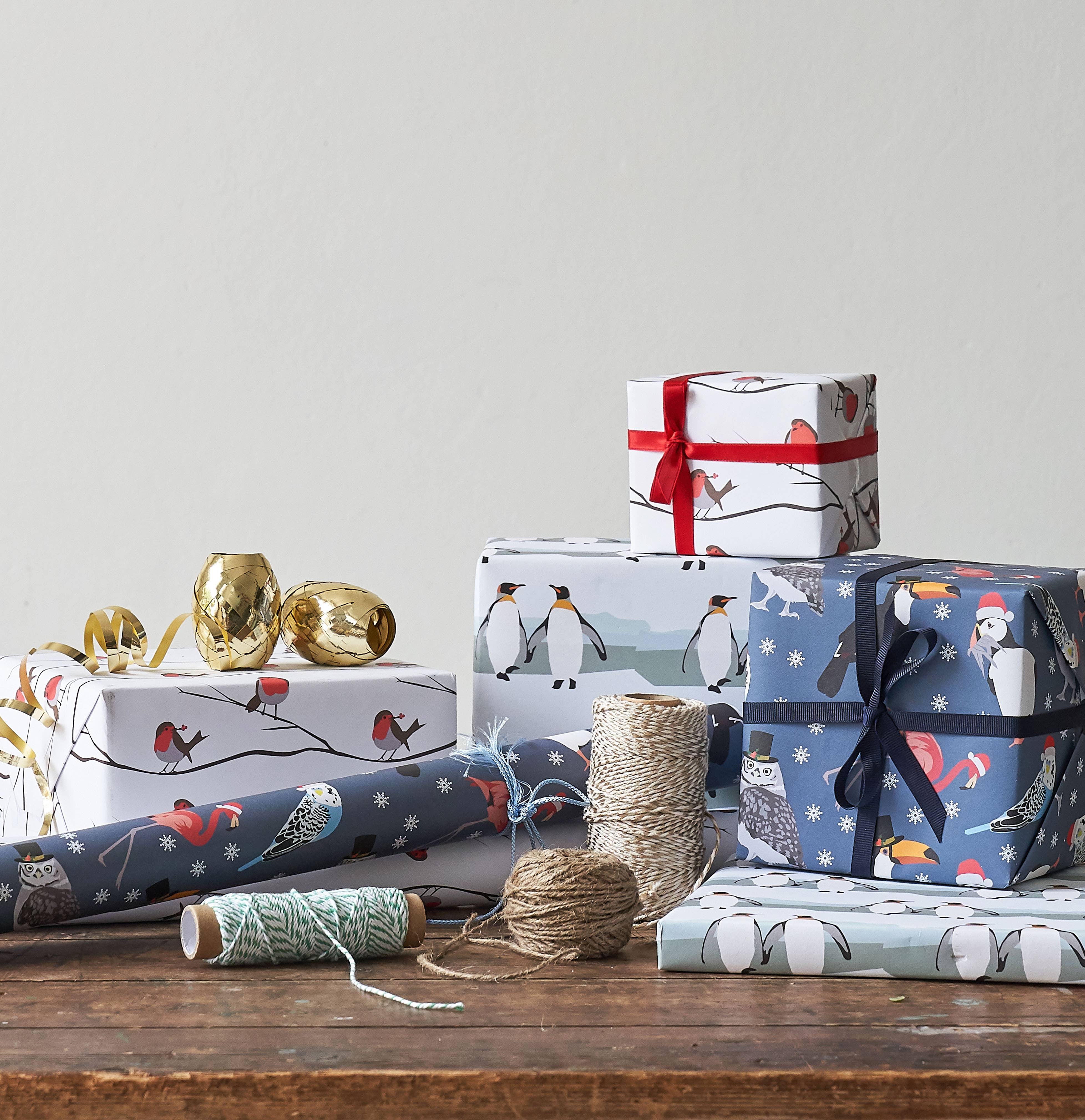 Lorna Syson – wholesale Flat wrap – Robin Wrapping Paper1