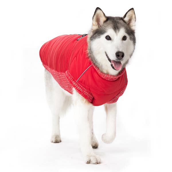 Dogo Pet - Wholesale Pet Coat - Dog - Runner Coat Original6