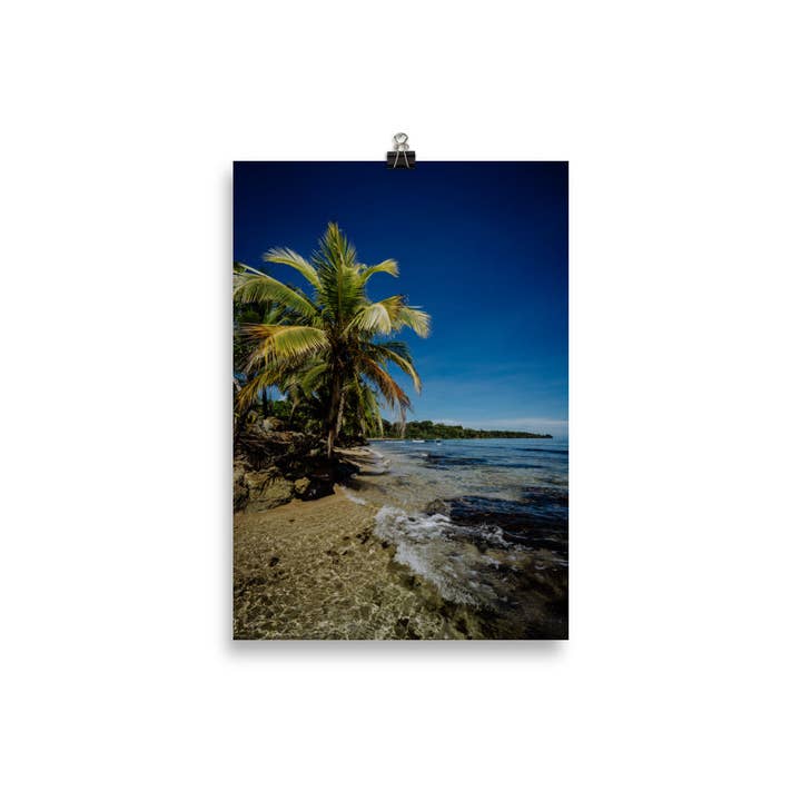 buttihondo. - Wholesale Poster - Panama Pt Poster I1