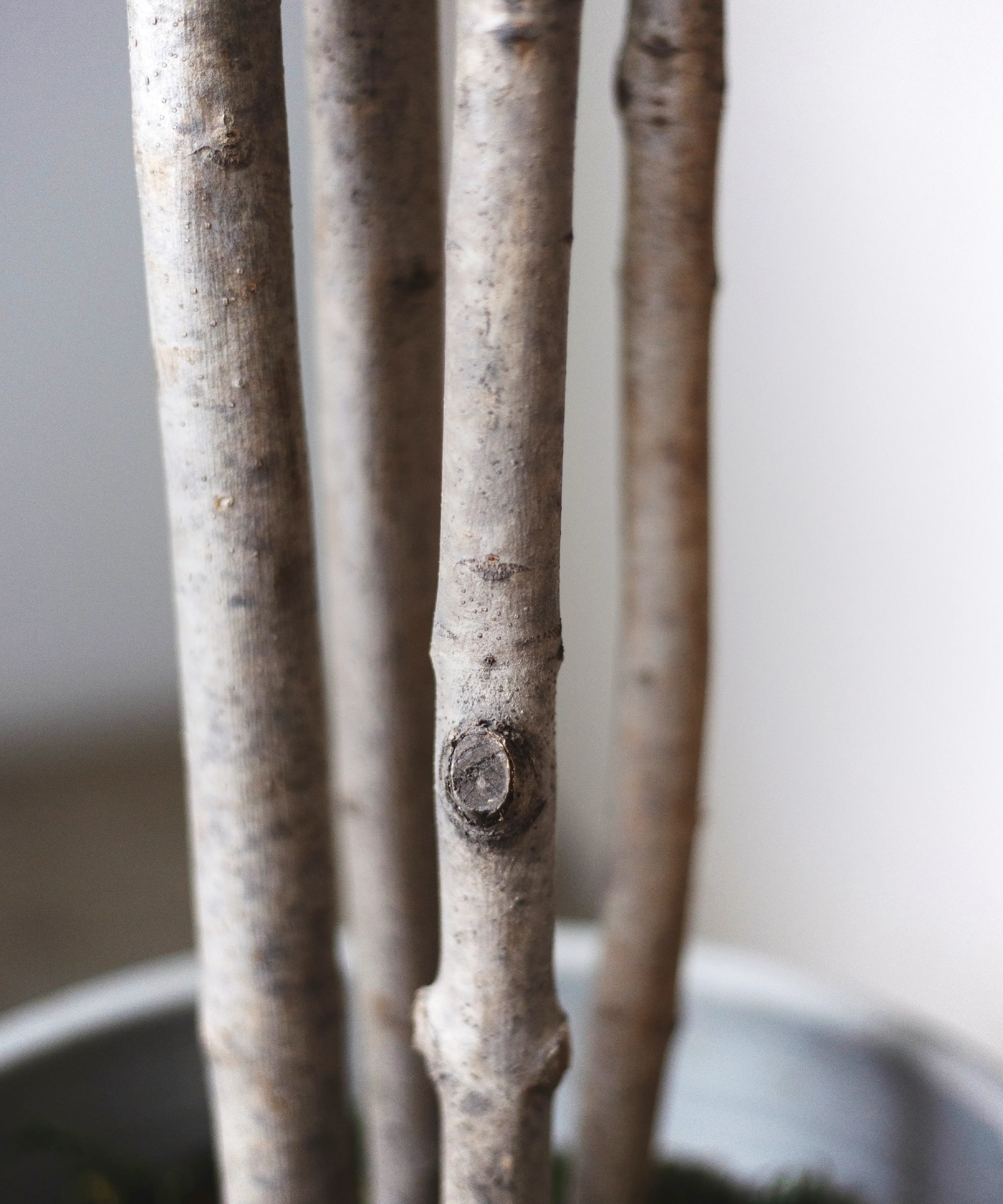 Maia Shop - Vendita all'ingrosso Piante artificiali - Mandorlo Artificiale 150 cm2