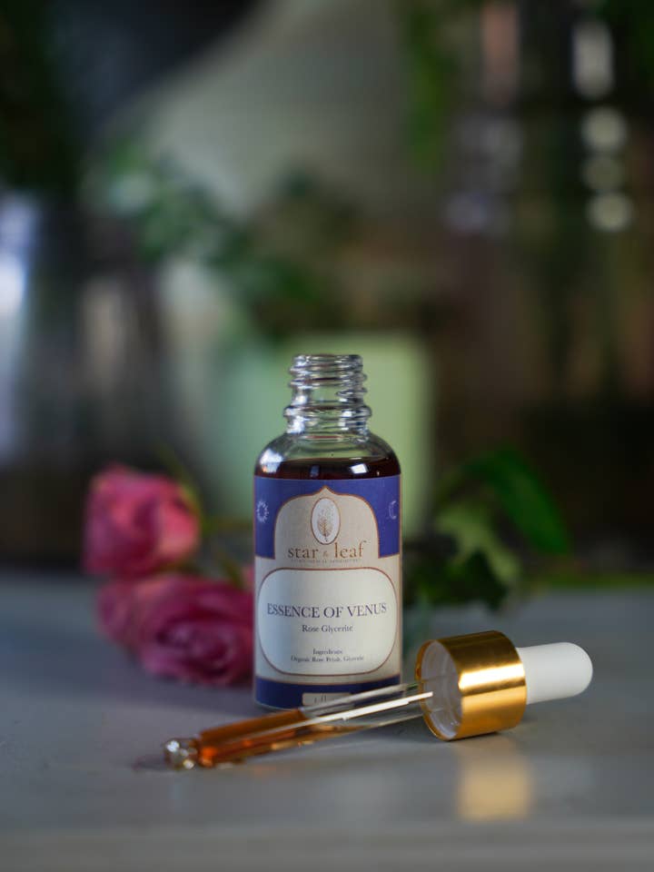 Essensen af Venus: Rose Glycerit for engroshandel hos Star & Leaf Astrological Apothecary