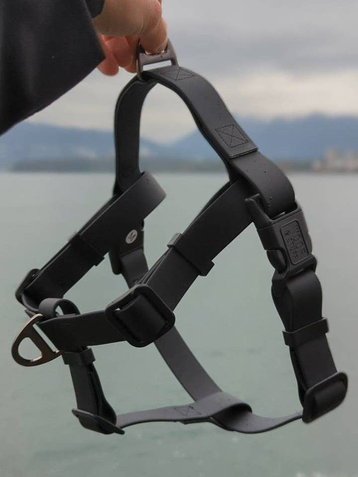 Harnais d'aventure étanche Raven pour la vente par woof and stuff