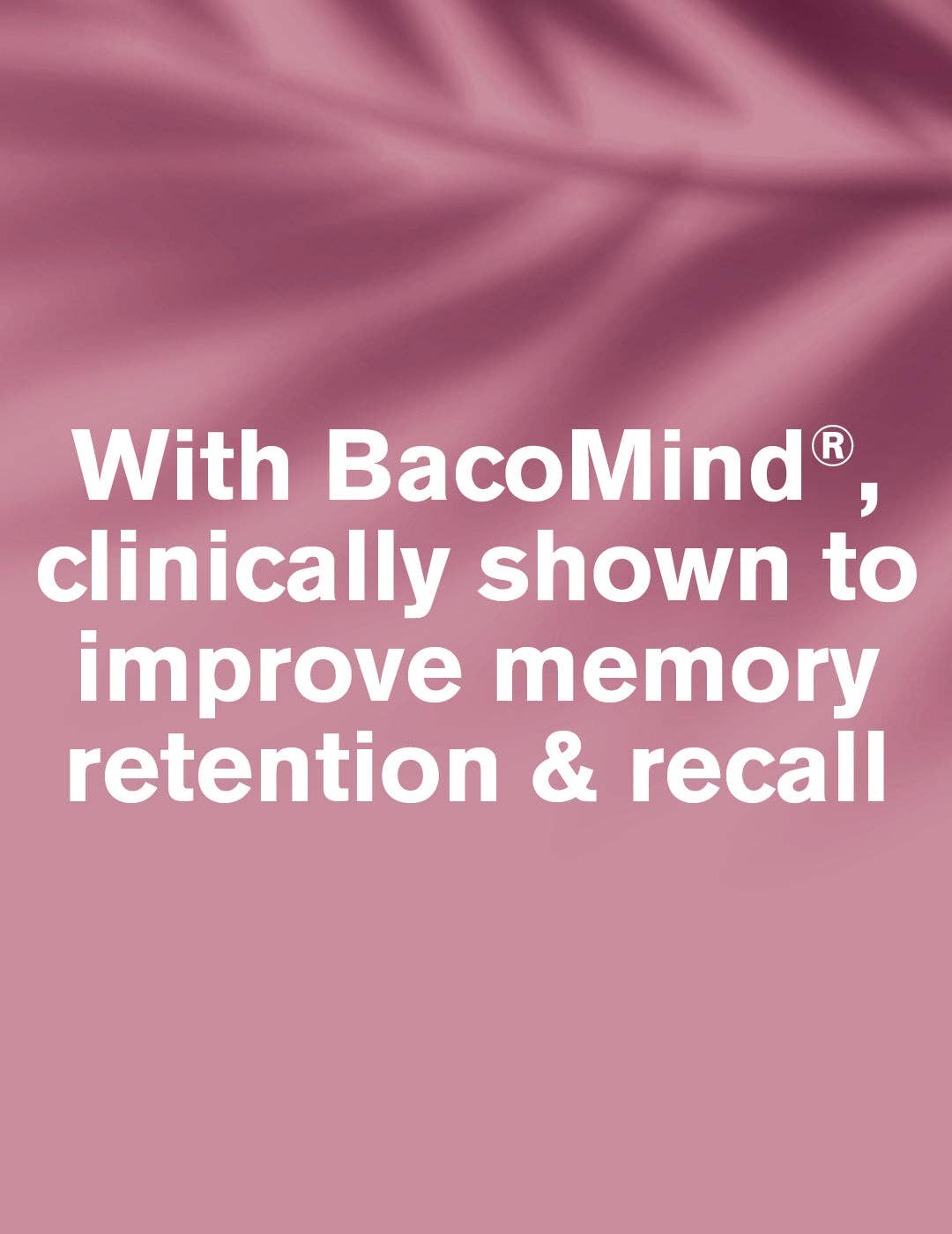 DR.VEGAN - Wholesale Voedingssupplement/vitamine - Brain Fuel® | 30 capsules | Geheugen, concentratie en focus1