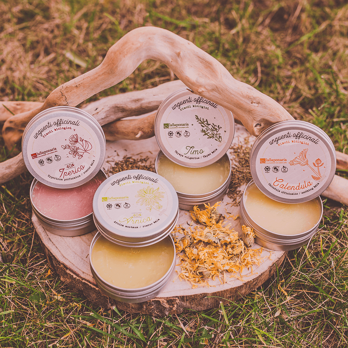 La Saponaria - Wholesale Healing Salve/Balm/Cream - Hypericum Ointment 40% (50 ml)2