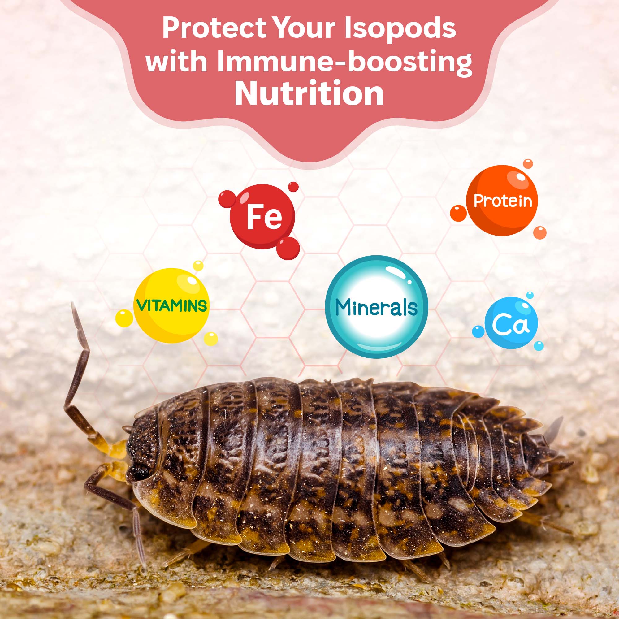 Snout and Shell - Wholesale Pet Food - Not Cat/Dog - Isopod Food - Daily Driver4