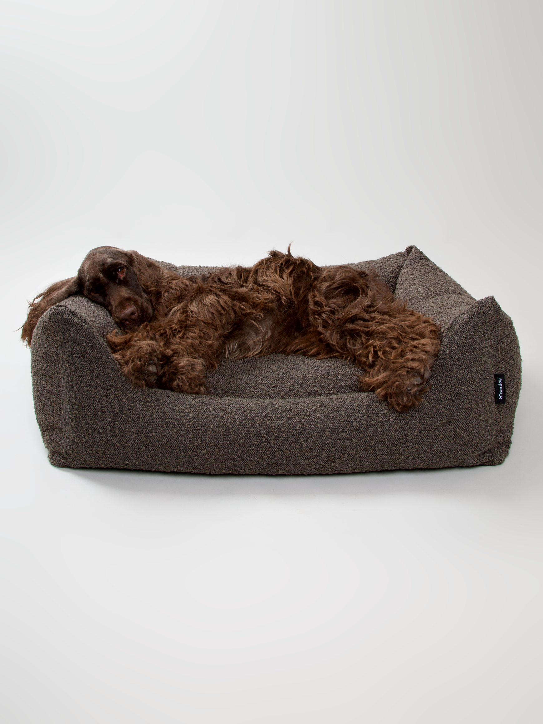 Nordog – cama - Cão por atacado – Cama para cachorro BILLY em tecido bouclé mocca10