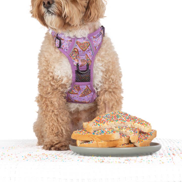 Big and Little Dogs - Wholesale Pet harness – Dog - THE ALL-ROUNDER DOG HARNESS: Purple Fairy Bread6