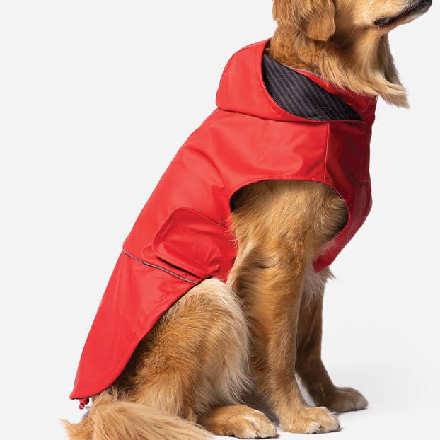 Aden 2.0 Hund Regnrock Röd för wholesale av Silver Paw