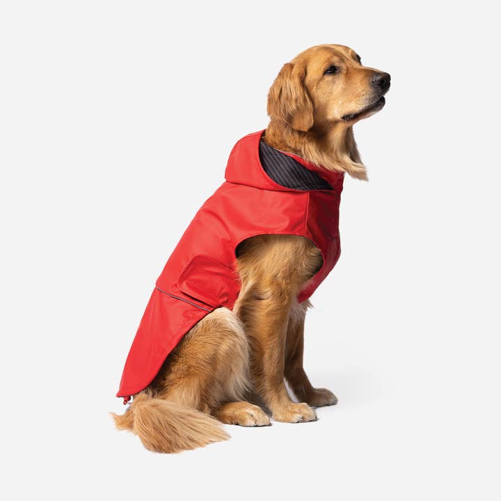 Aden 2.0 Dog Raincoat Red for wholesale by Silver Paw