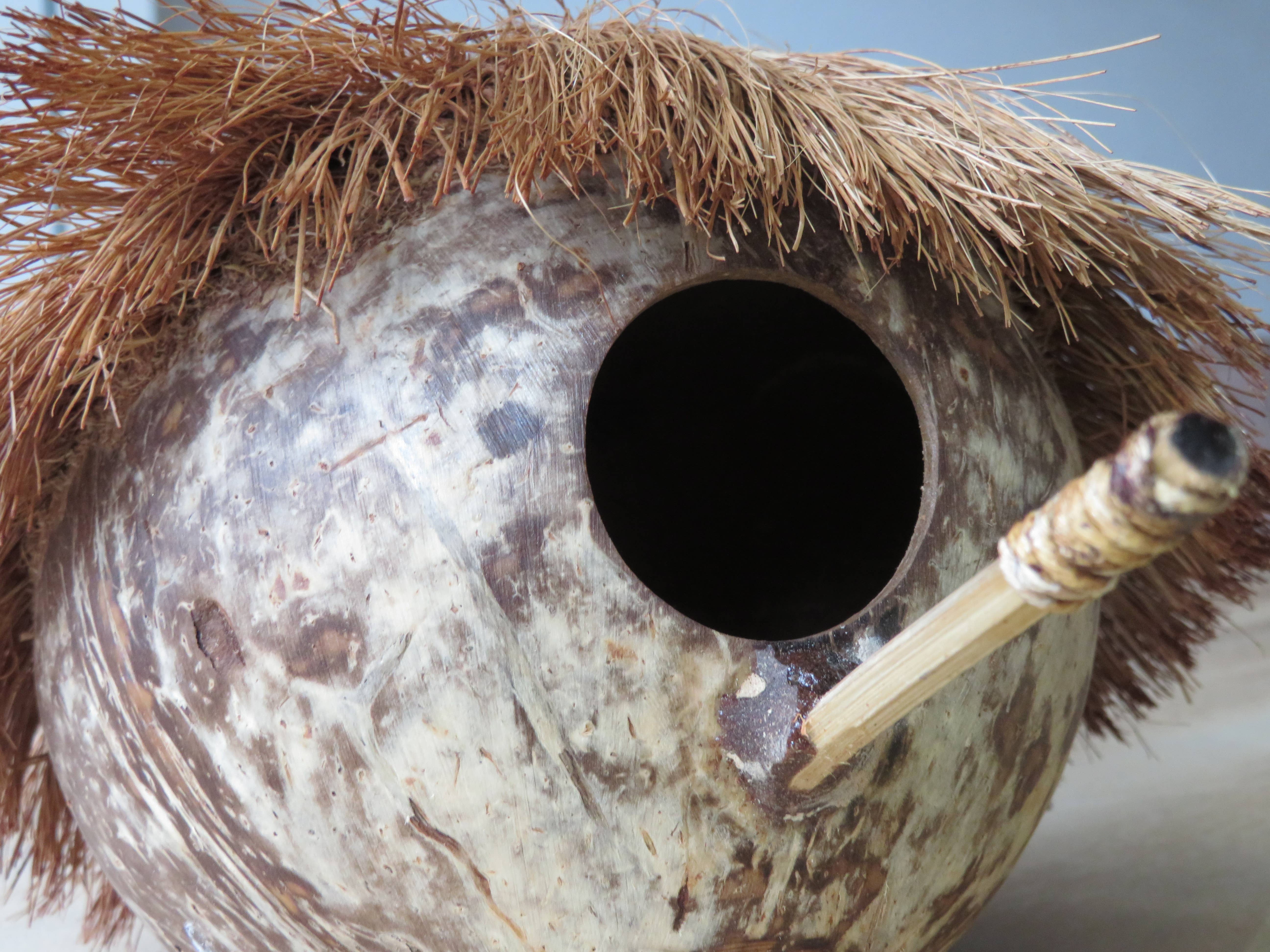 Product Import Holland - Wholesale Bird House - Birdhouse - coconut - winter - stay - exotic1