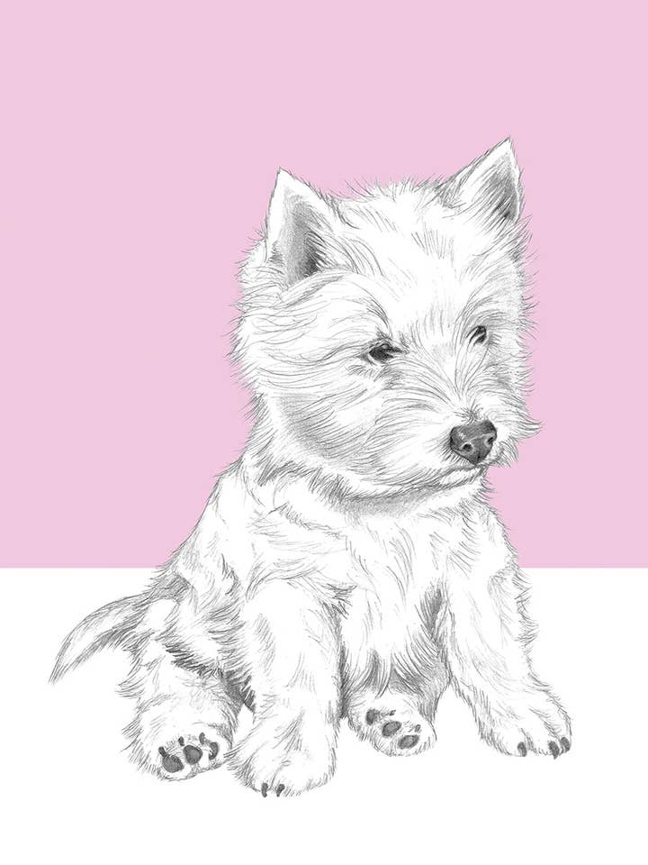 Westy for wholesale by I AM NIEN