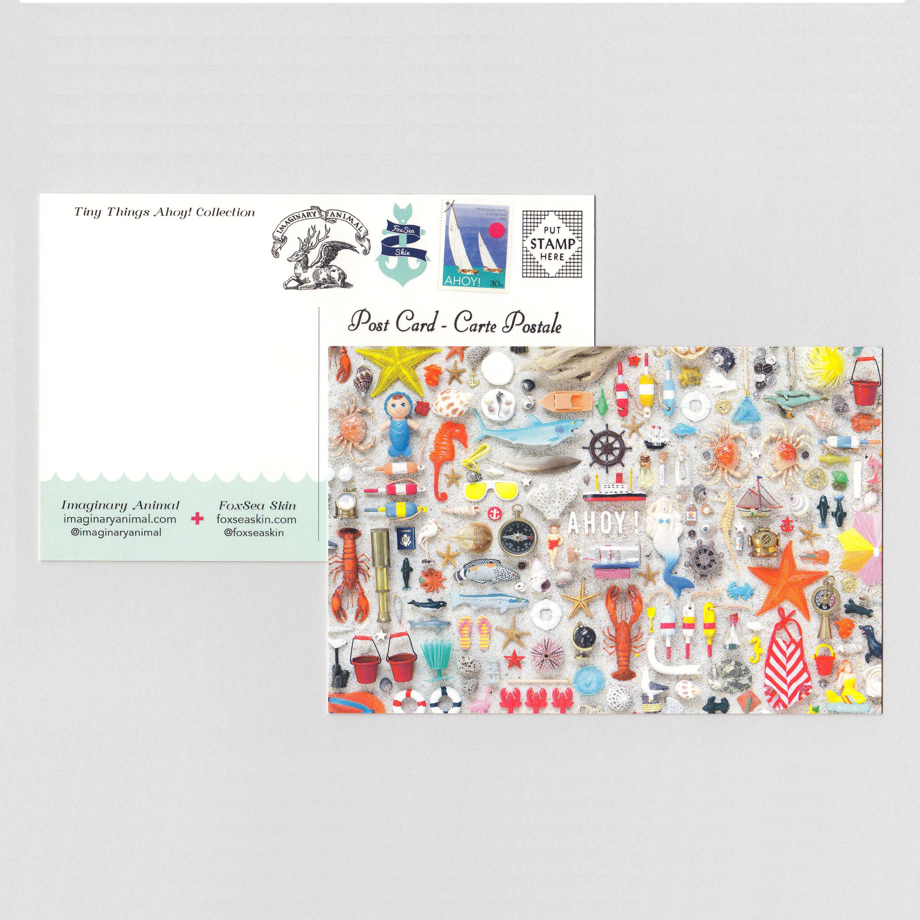 Imaginary Animal - Vendita all'ingrosso Set di cartoline - Assortimento di cartoline Tiny Things Collection 66