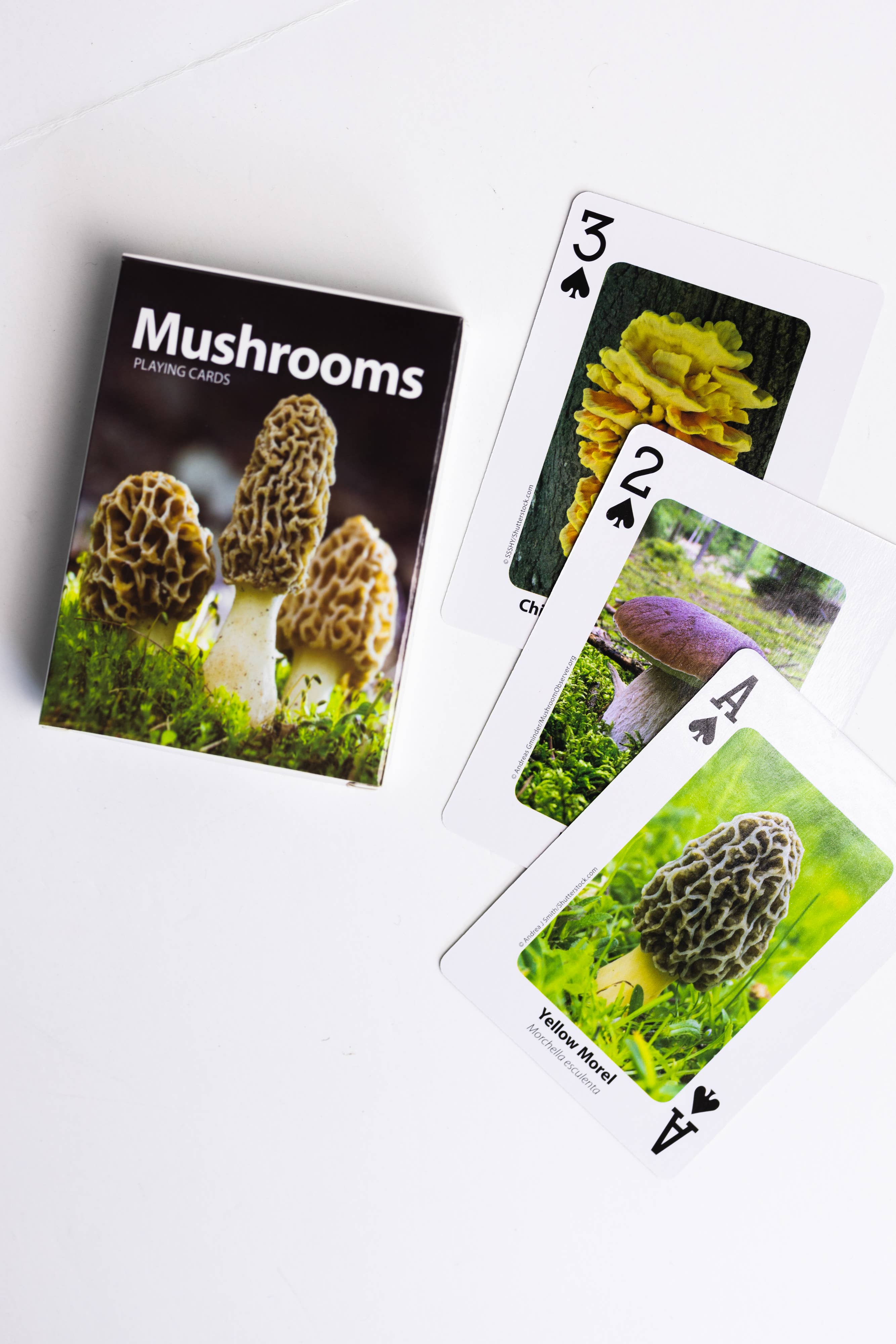 AdventureKEEN - Wholesale Playing Cards - Mushrooms Playing Cards1