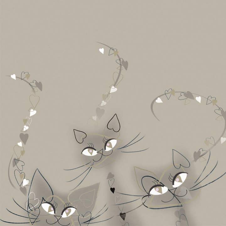 Canela, Chocolate y Soufflé para venta al por mayor de Sophie Morrell