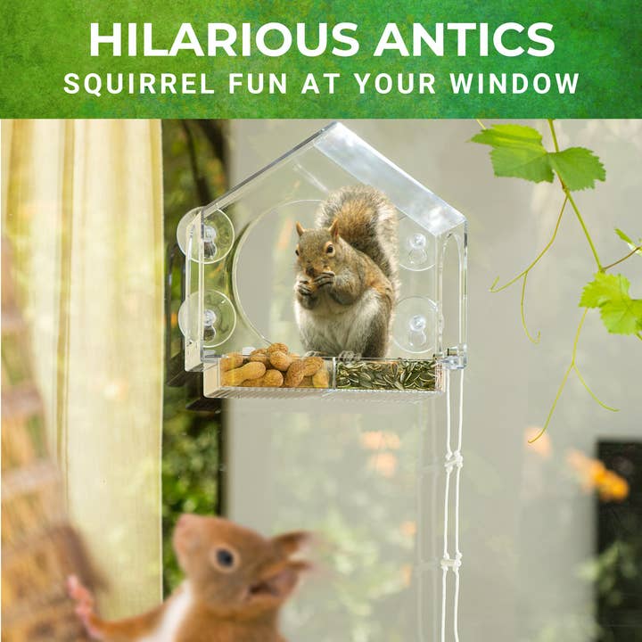 Nature Anywhere - Wholesale Bird feeder - Squirrel-I-View Window Squirrel Feeder2