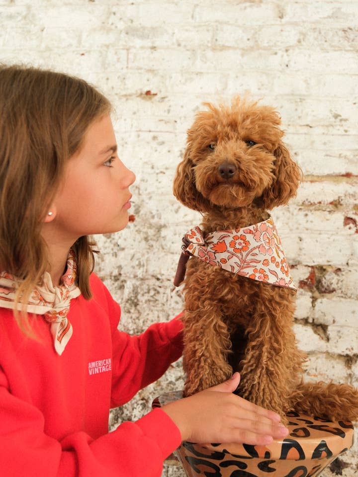 Bandana Chien BRIQUE pour la vente par SO FAMILY