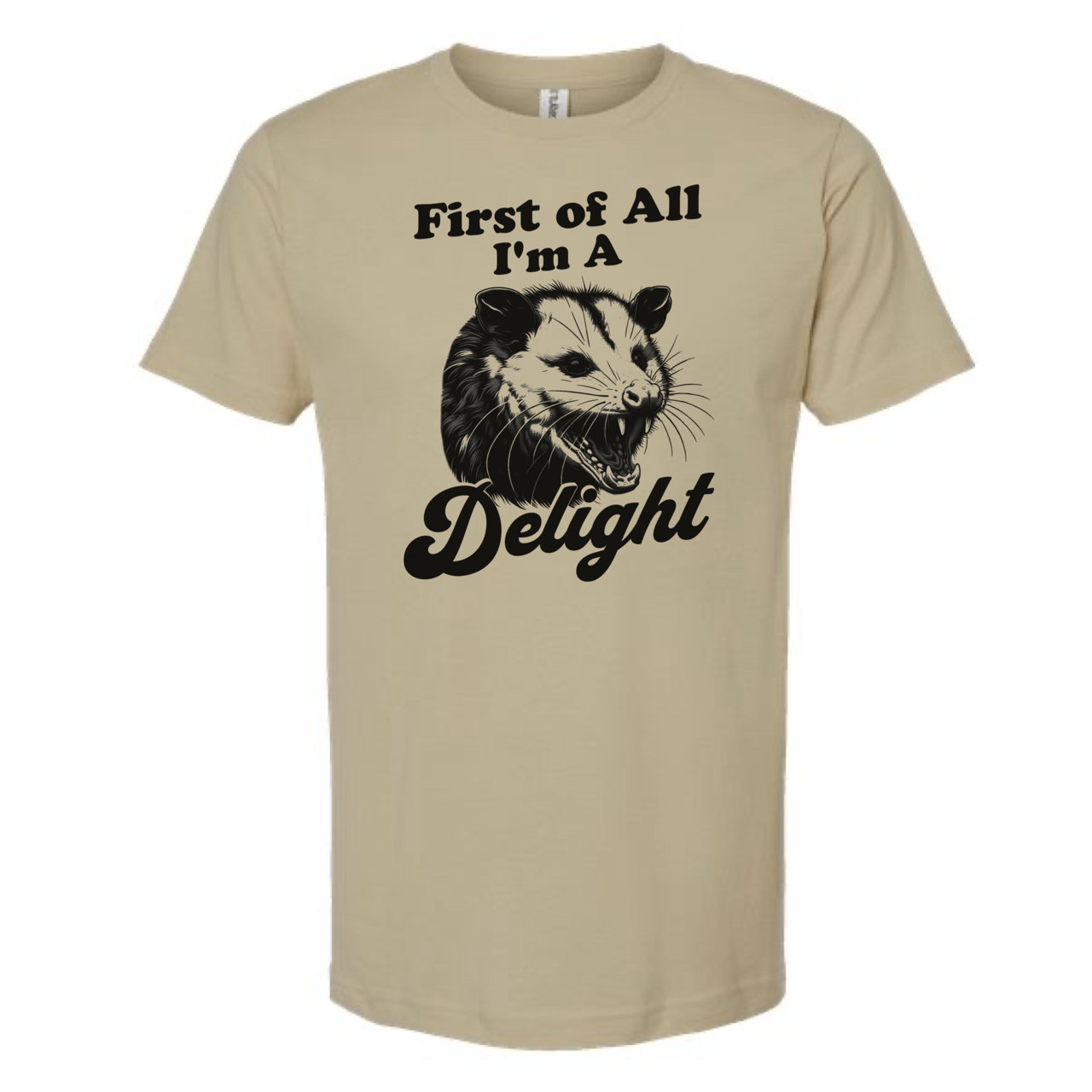 dkhandmade - Wholesale Screen Printed T-Shirt - Unisex - FIRST OF ALL I'M A DELIGHT T-SHIRT5
