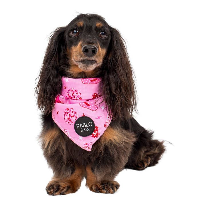 Pablo & Co. Boutique - Vente Bandana – chien - Disco Cowgirl - Bandana pour chien