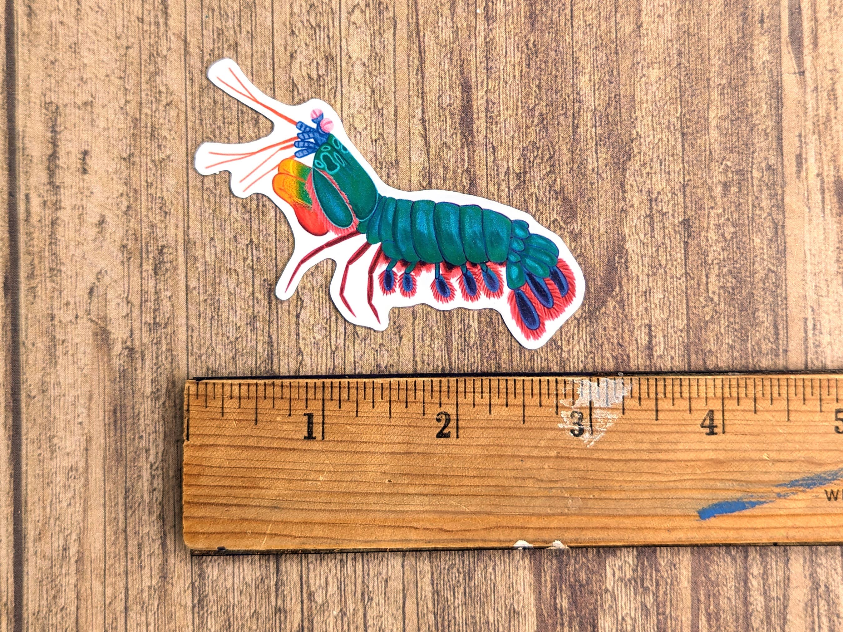 Proper Wolf - Wholesale Sticker - Mantis Shrimp Vinyl Sticker Decal1