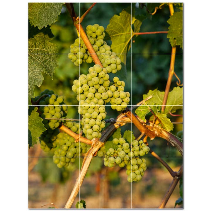 Vindruekeramiske fliser vægmaleri PT501207 for engroshandel hos Picture-Tiles.com